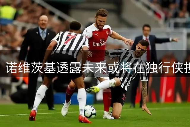 诺维茨基透露未来或将在独行侠担任职务